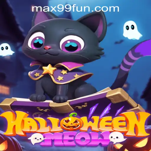 HalloweenMeow: A Spooktacular Adventure Awaits